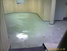 Water damage basement